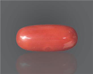 Natural Red Coral (I) 8.84 rts- 66498