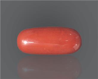 Natural Red Coral (I) 8.8 rts- 66524