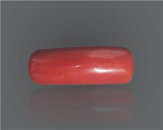 Natural Red Coral 9.1 rts- 66646