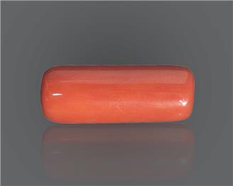 Natural Red Coral 11 rts- 66652