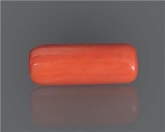 Natural Red Coral 11 rts- 66652