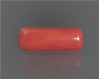 Natural Red Coral 8.89 rts- 66656