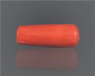 Natural Red Coral  11.62 RTS (51124)