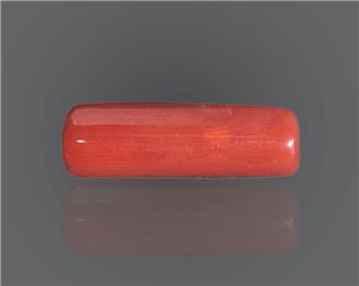 Natural Red Coral  9.25 RTS (51153)