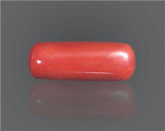 Natural Red Coral  7.38 RTS (51159)