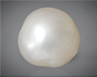  Pearl J Keshi 8.65CTS-31047