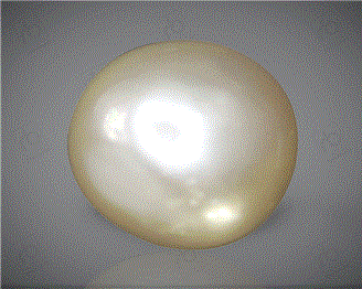  Pearl( J KESHI ) 13.14CTS-31848