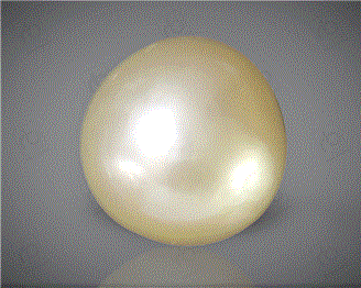  Pearl( J KESHI ) 13.14CTS-31848