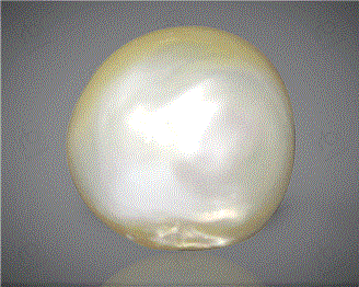  Pearl( J KESHI ) 11.33CTS-31852