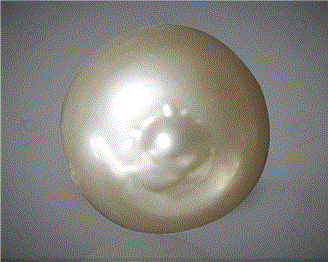  Pearl( J KESHI ) 9.09CTS-31856