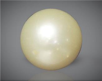 Pearl (South Sea) Certified 5.85CTS-88938