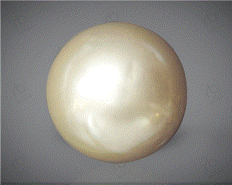  Pearl( South Sea ) 16.53CTS-31816