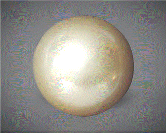  Pearl( South Sea ) 16.53CTS-31816