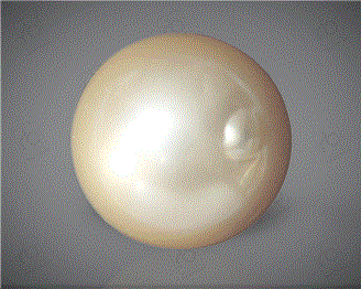  Pearl( South Sea ) 16.76CTS-31817