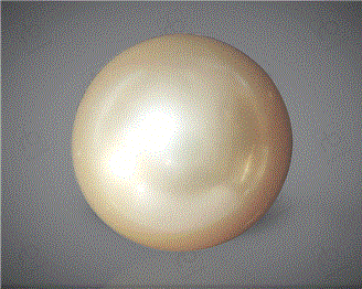  Pearl( South Sea ) 16.76CTS-31817