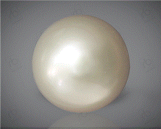  Pearl( South Sea ) 18.17CTS-31818