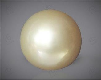  Pearl (South Sea ) 8CTS-31929