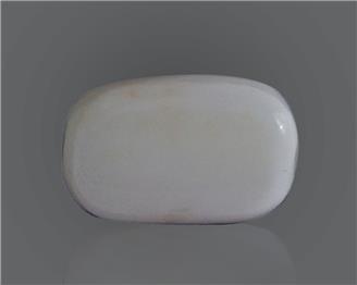 Natural White Coral 22.78 Cts 10487