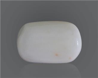 Natural White Coral 17.73 Cts 10519