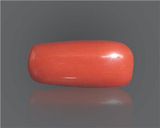 Natural Red Coral 10.31 rts- 66664