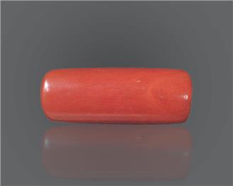 Natural Red Coral 10.18 rts- 66669