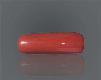 Natural Red Coral 11.49 rts- 66672