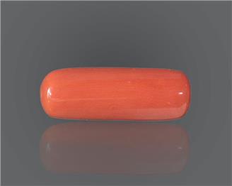 Natural Red Coral 10.07 rts- 66678