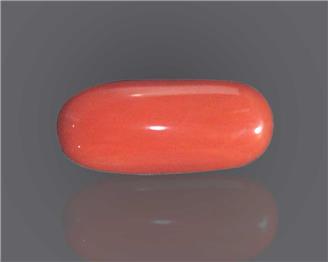 Natural Red Coral Certified  9.07 RTS - 52205