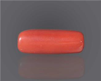 Natural Red Coral  13.32 RTS - 53488