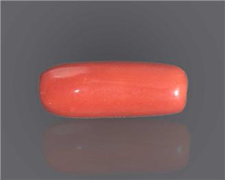 Natural Red Coral  13.32 RTS - 53488