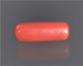 Natural Red Coral  9.49 RTS - 53501