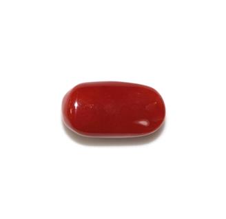 NATURAL RED CORAL 6.40 CTS (9280)