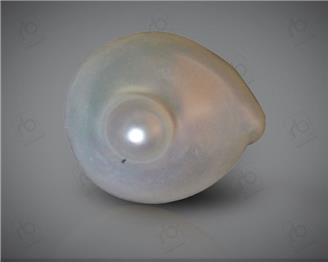  Natural Pearl (J KESHI)  4.06CTS-5138