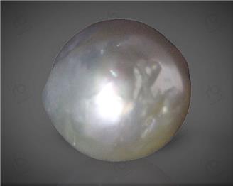  Pearl (South Sea)  10.69CTS-58679