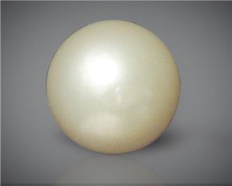 Pearl (South Sea) Certified 5.04CTS-88916