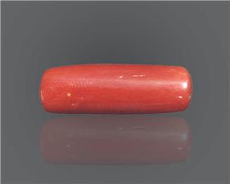 Natural Red Coral  8.83 RTS (51288)