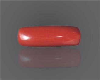 Natural Red Coral  8.83 RTS (51288)