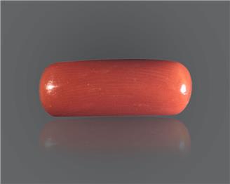 NATURAL Red Coral / Moonga 9.23 CT. ( 89679 )