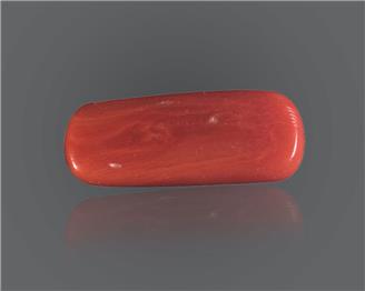 NATURAL Red Coral / Moonga 8.95 CT. ( 89698 )