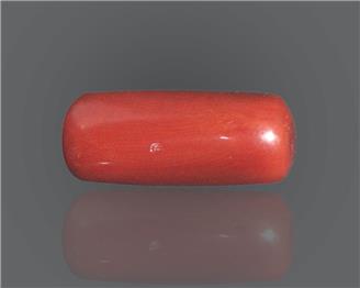 Natural Red Coral  12.27 RTS (51230)