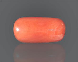 Natural Red Coral Certified  17.34 RTS - 58424