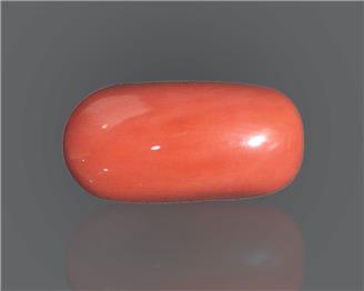 Natural Red Coral Certified  17.34 RTS - 58424