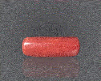 Natural Red Coral (I) Certified 11.3 RTS - 85679