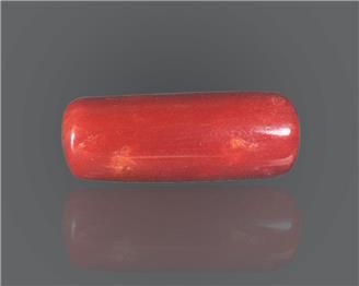 Natural Red Coral  13.46 RTS (51267)