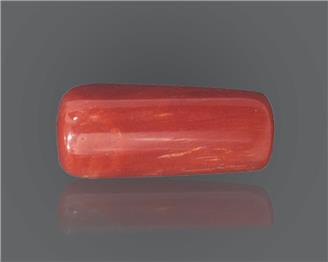 Natural Red Coral 15.17 RTS ( 18725 )