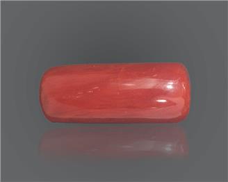 Natural Red Coral 15.17 RTS ( 18725 )