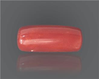 Natural Red Coral 10.73 RTS ( 18746 )