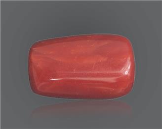 Natural Red Coral 20.21 RTS ( 18754 )